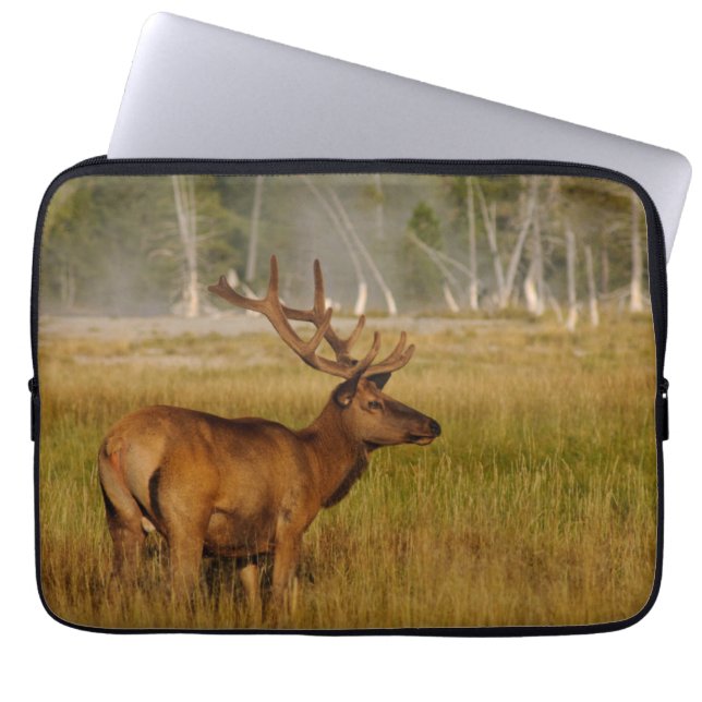 Rocky Mountain Elk | Yellowstone National Park Laptop Sleeve (Front)