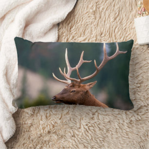 Rocky Mountain Elk Yellowstone National Park Lumbar Cushion