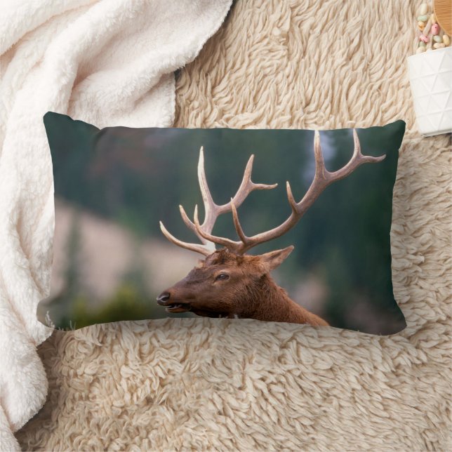 Rocky Mountain Elk Yellowstone National Park Lumbar Cushion (Blanket)