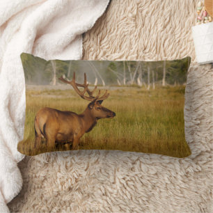 Rocky Mountain Elk   Yellowstone National Park Lumbar Cushion