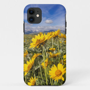Rocky Mountain Front Range iPhone 11 Case