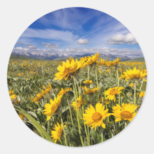 Rocky Mountain Front Range Classic Round Sticker