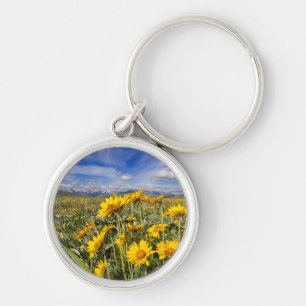 Rocky Mountain Front Range Key Ring