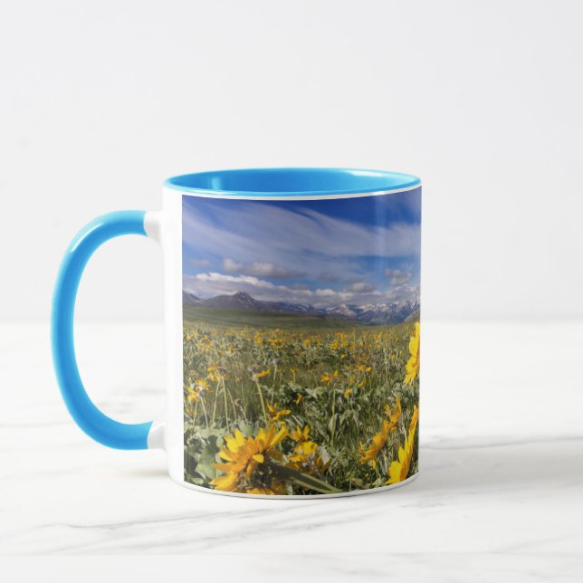 Rocky Mountain Front Range Mug (Left)
