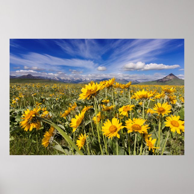 Rocky Mountain Front Range Poster (Front)