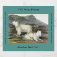 Rocky Mountain Goat (Capra Americana by Audubon