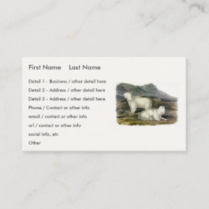 Rocky Mountain Goat (Capra Americana by Audubon Business Card