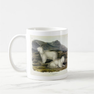 Rocky Mountain Goat (Capra Americana by Audubon Coffee Mug