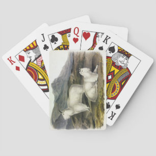 Rocky Mountain Goat (Capra Americana by Audubon Playing Cards