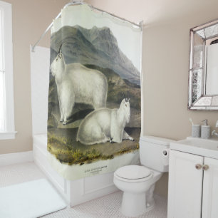 Rocky Mountain Goat (Capra Americana by Audubon Shower Curtain