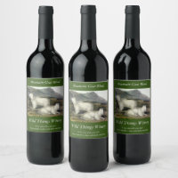 Rocky Mountain Goat (Capra Americana by Audubon