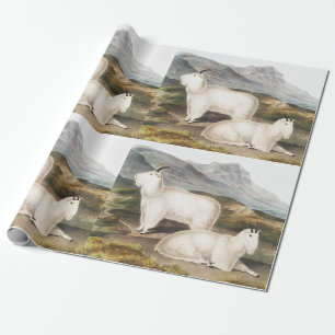 Rocky Mountain Goat (Capra Americana) Illustration Wrapping Paper