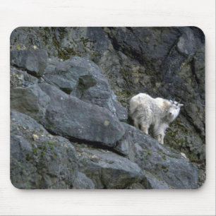 Rocky Mountain Goat In Rocks Mouse Pad