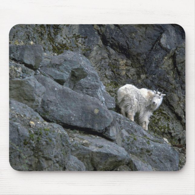 Rocky Mountain Goat In Rocks Mouse Pad (Front)