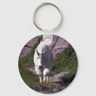 Rocky mountain goat key ring