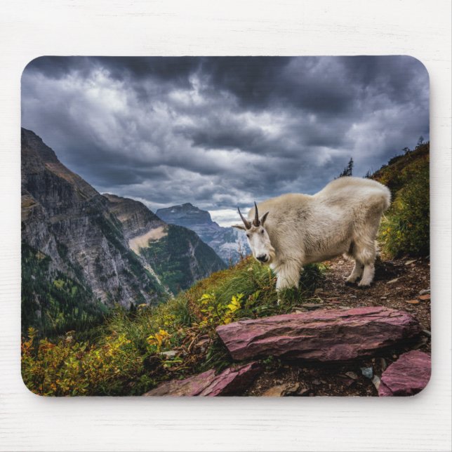 Rocky Mountain Goat Mouse Pad (Front)