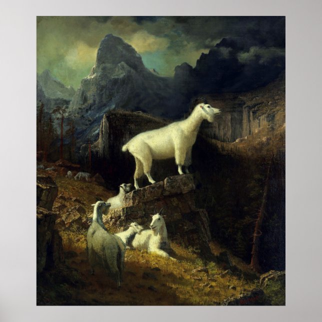 Rocky Mountain Goats Poster (Front)