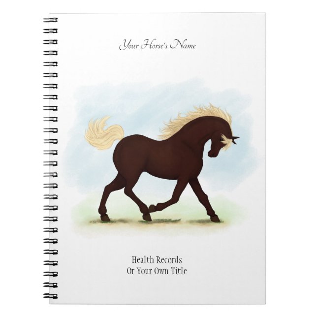 Rocky Mountain Horse Personalised Owner's Journal (Front)