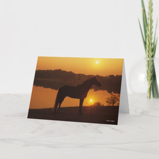 Rocky Mountain Horse Standing In Sunset Card (Front)