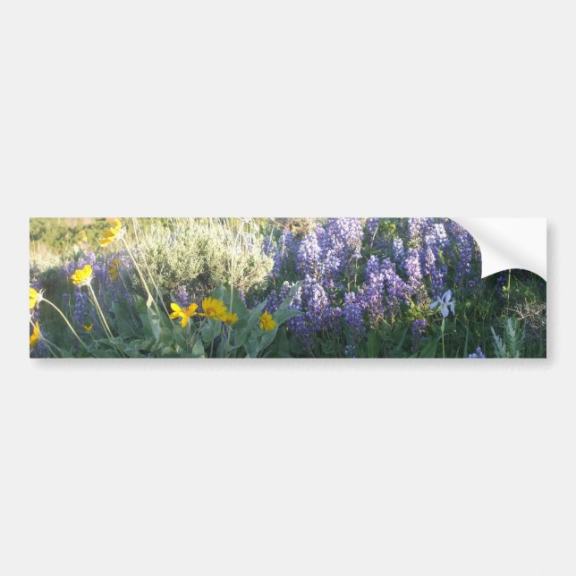 Rocky Mountain Lupine Bumper Sticker (Front)