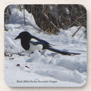 Rocky Mountain Magpie 6 plastic coasters