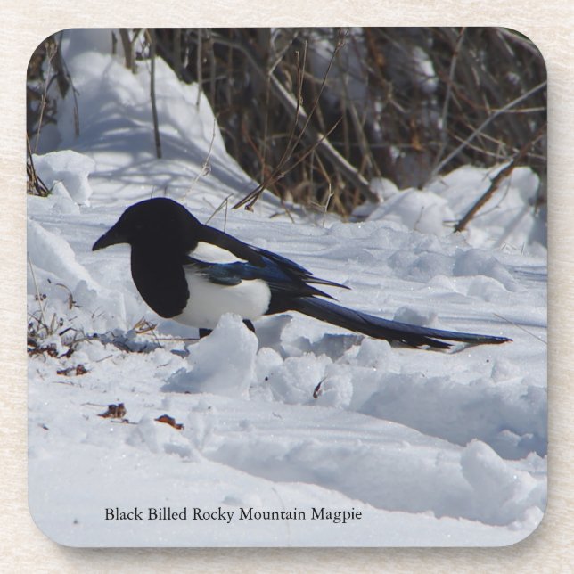 Rocky Mountain Magpie 6 plastic coasters (Front)