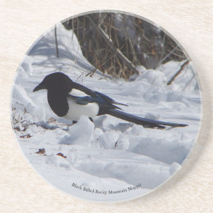 Rocky Mountain Magpie sandstone coaster