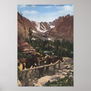 Rocky Mountain National Park, CO Poster