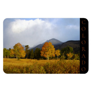 Rocky Mountain National Park Colorado Aspens  Magnet
