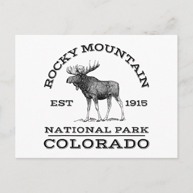 Rocky Mountain National Park Colorado Moose Hike O Postcard (Front)