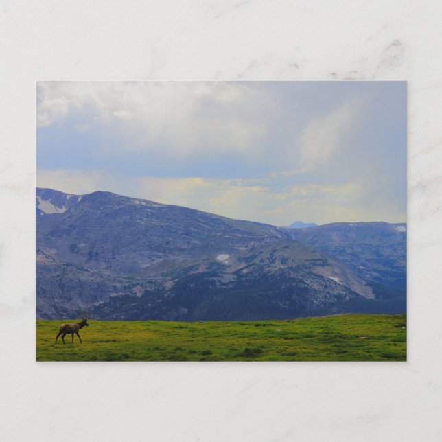 Rocky Mountain National Park, Colorado Postcard (Front)