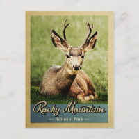 Rocky Mountain National Park Deer Vintage