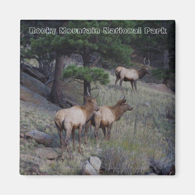 Rocky Mountain National Park Magnets (Front)