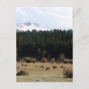 Rocky Mountain National Park Postcard