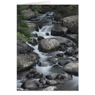 Rocky Mountain National Park Stream Card