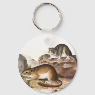 Rocky Mountain Neotoma Mouse (Neotoma Drummondii) Key Ring
