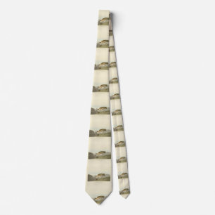Rocky Mountain Plover - Audubon's Birds of America Tie