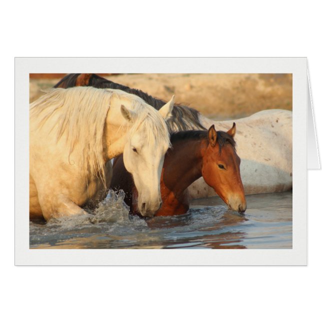 Rocky Mountain Wild Horse and her baby Note Card (Front Horizontal)