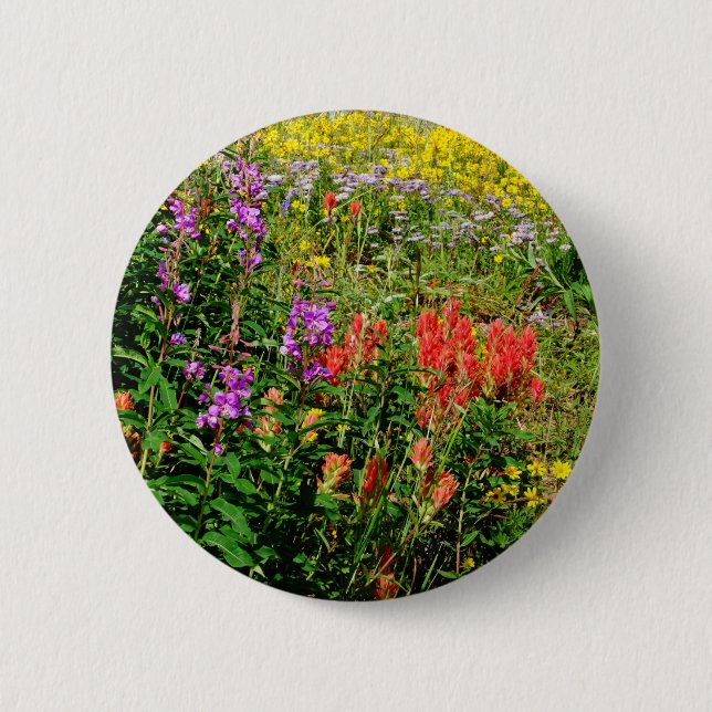 Rocky Mountain Wildflowers 6 Cm Round Badge (Front)