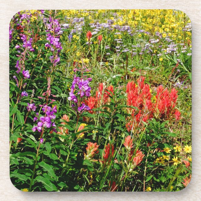 Rocky Mountain Wildflowers Coaster (Front)