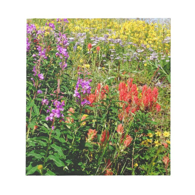 Rocky Mountain Wildflowers Notepad (Front)