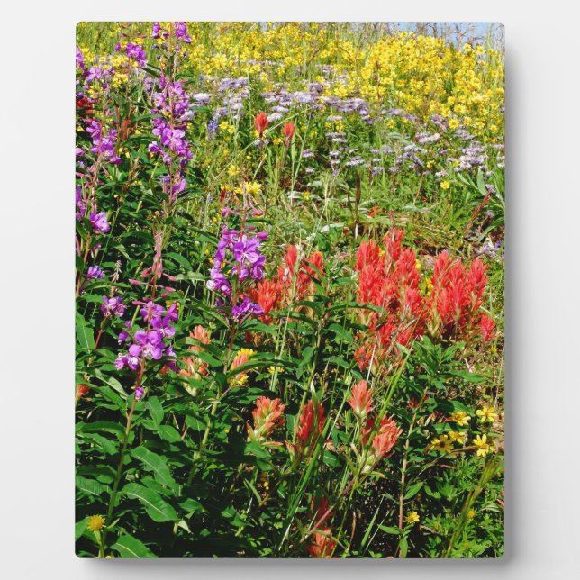 Rocky Mountain Wildflowers Plaque (Front)