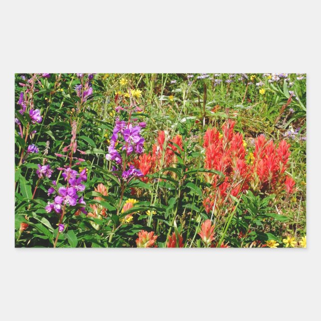 Rocky Mountain Wildflowers Rectangular Sticker (Front)