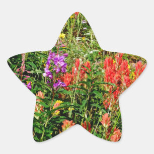 Rocky Mountain Wildflowers Star Sticker