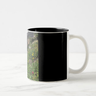 Rocky Mountain Wildflowers Two-Tone Coffee Mug