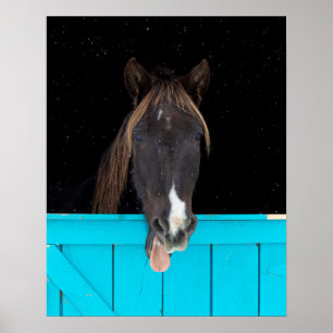 Rocky Mountain Yawn Poster