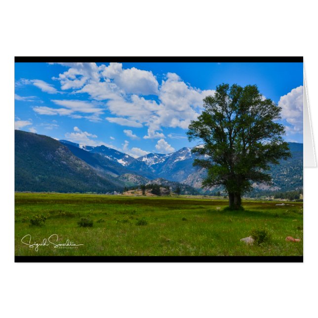 Rocky Mountains (Front Horizontal)