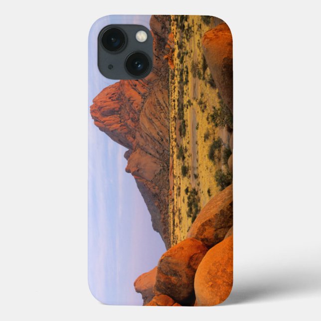Rocky Outcrop And Plain, Spitzkoppe, Erongo Case-Mate iPhone Case (Back)