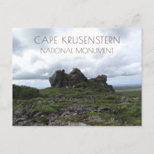 Rocky Outcrop, Spring Plants, Cape Krusenstern, AK Postcard