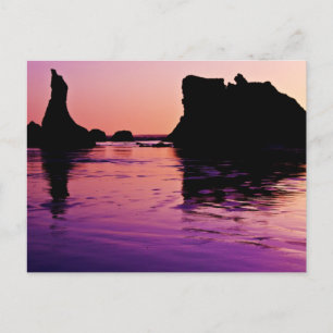 Rocky Reflections - Bandon, Oregon Postcard